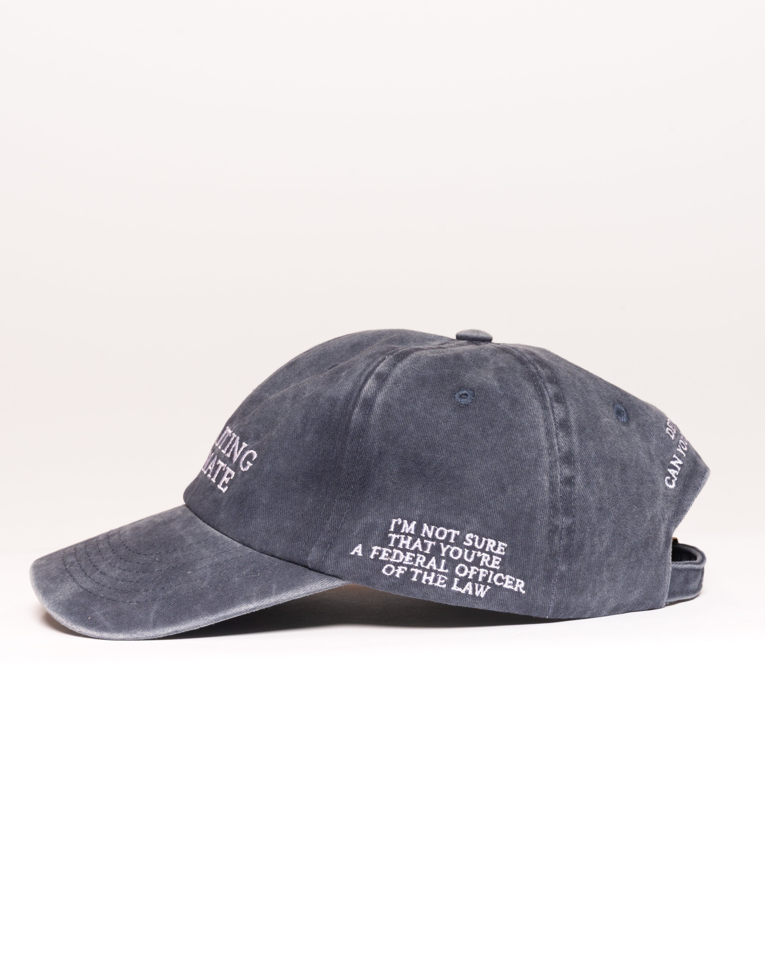 Just Waiting For A Mate Unisex Cotton Hat - Adjustable Embroidered Cap by Threadheads