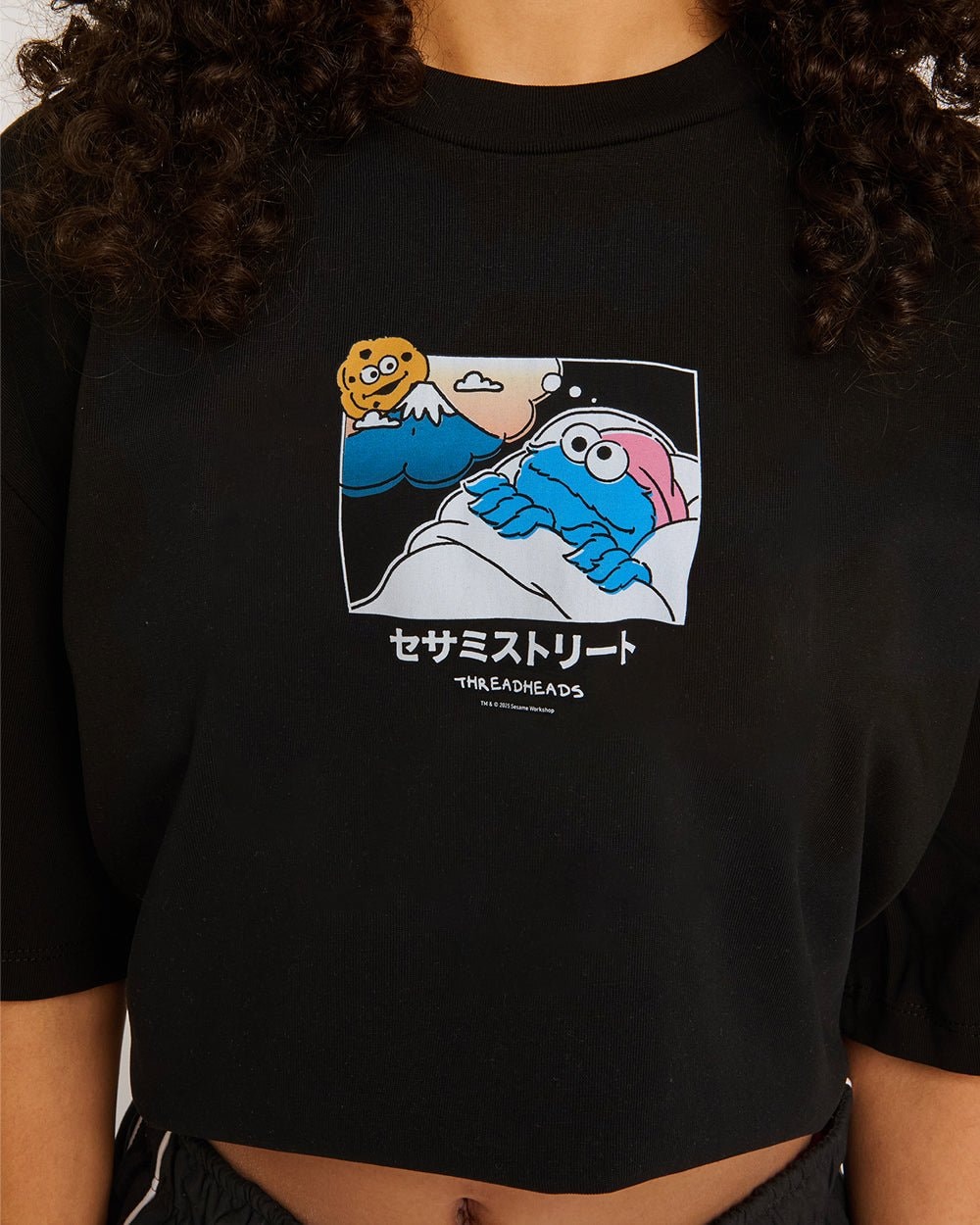 Cookie Monster Fuji Dreaming Oversized Graphic Tee Unisex 100% Combed Cotton